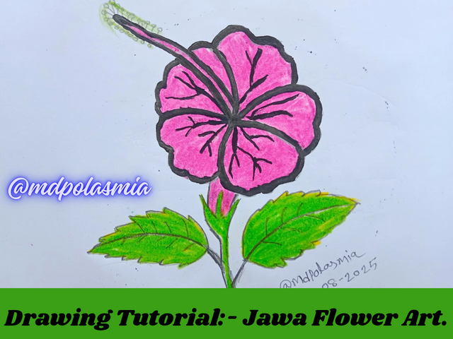 Drawing Tutorial_- Jawa Flower Art._20250810_043523_0000.png