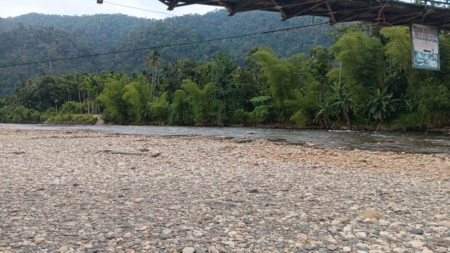 20250618_135015.jpg