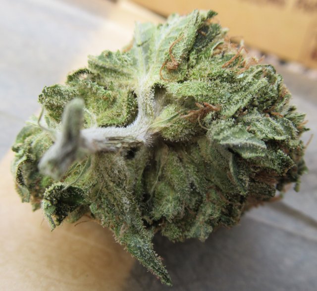 fullnugbottomsideview.jpg