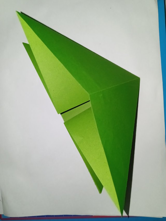 1000054387.jpg