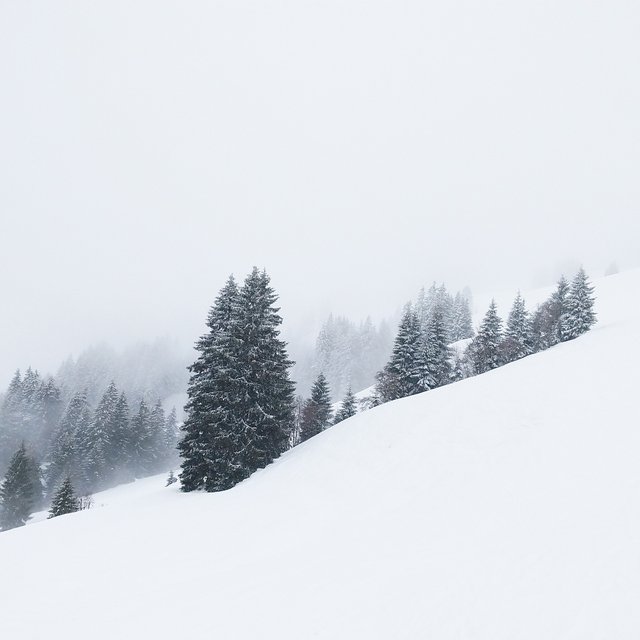 Jochberg_Snowy_Mountain.jpg