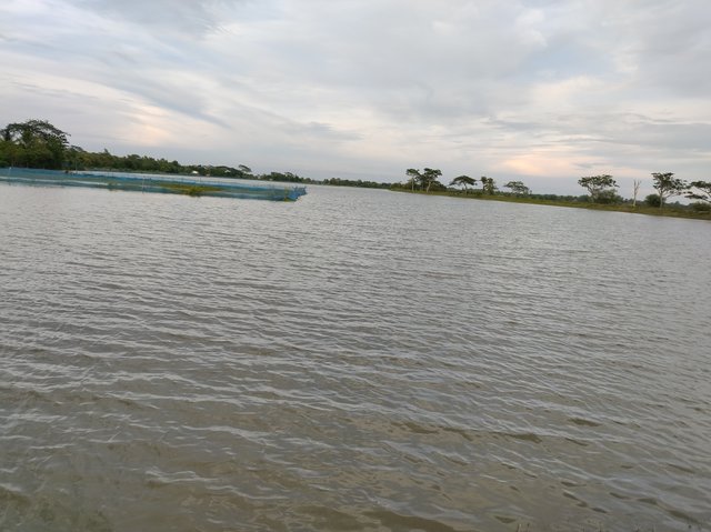 IMG_20250615_175033.jpg