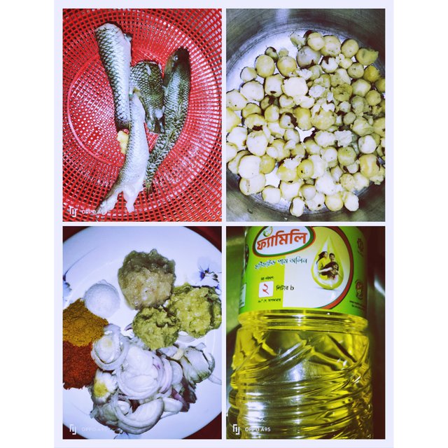 PhotoCollage_1752314021096.jpg