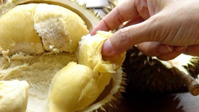 durian_20171009_113736.jpg