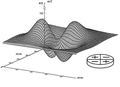 quadrapolar magnetic field therapy.jpg