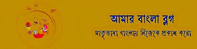 IMG_20250717_142445.jpg