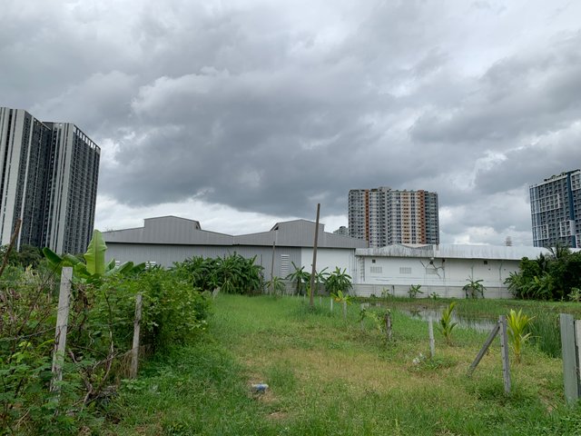 nature119.jpg