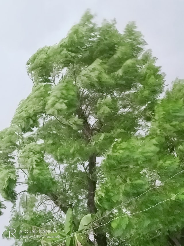 IMG20210908082515.jpg