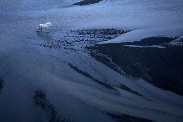 animal-photography-icelandic-horses-in-the-realm-of-legends-drew-doggett-29-5b5afc06e4e11__880.jpg