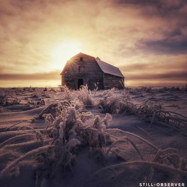 Saskatchewan winter sunrise.jpg