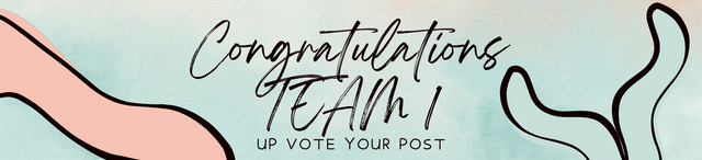 Guidelines TEAM 1 (1).png