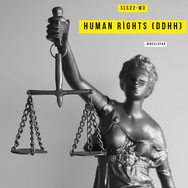 Grey Yellow Simple Modern World Human Rights Day Instagram Post_20241231_103019_0000.jpg