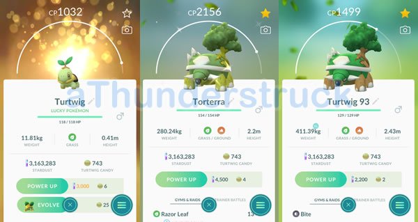 Lucky Turtwig and my 2 Torterra.jpg