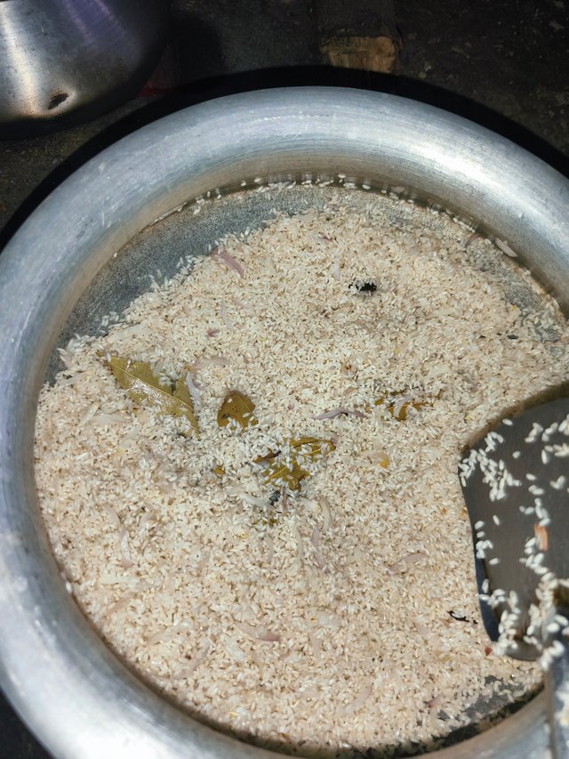 IMG_20250603_181832.jpg