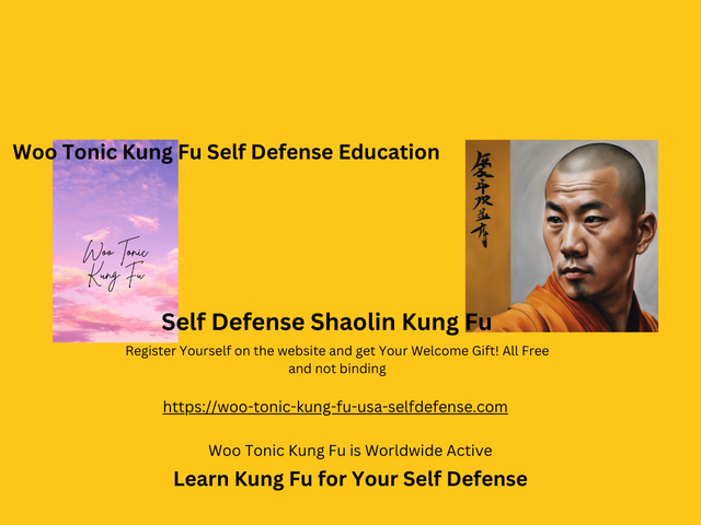 Self Defens Kung Fu.png