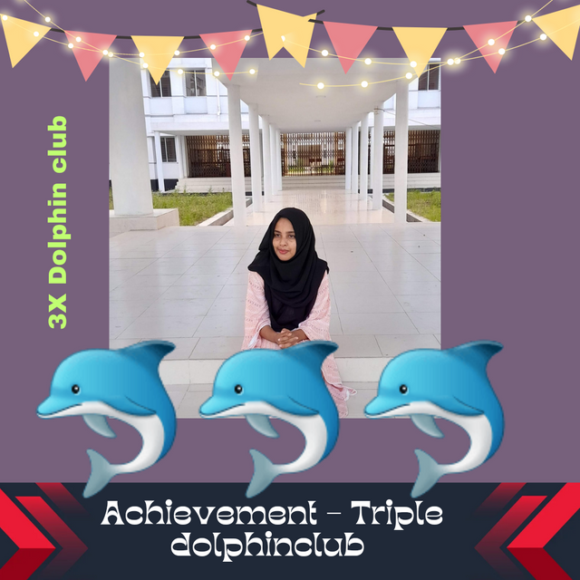 Achieved Dolphinclub_20240403_224647_0000.png