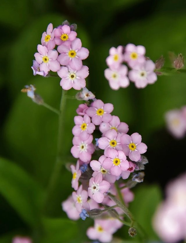 IMG_20250615_084956.jpg