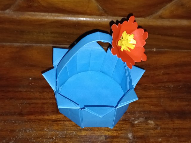 20250505_113741.jpg