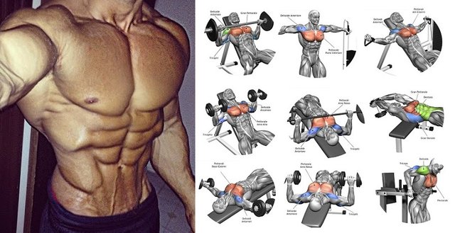 5 Of The Best Chest Exercises That Should Be In Every Chest Workout!