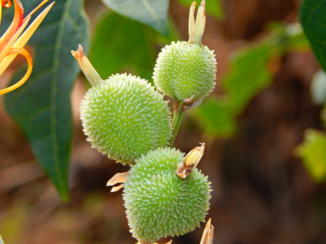 DSCN1296.jpg