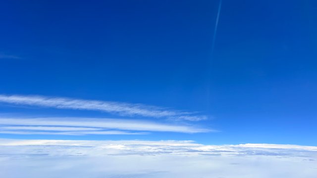 IMG_0169.jpeg