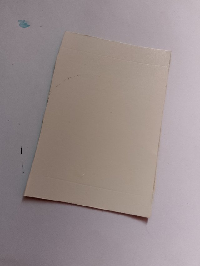 1000058715.jpg