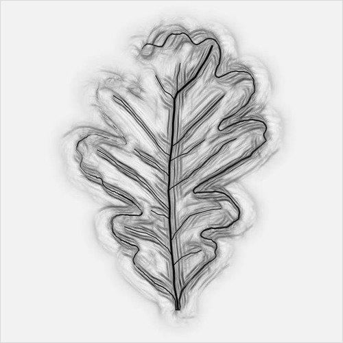 rootwork.jpg