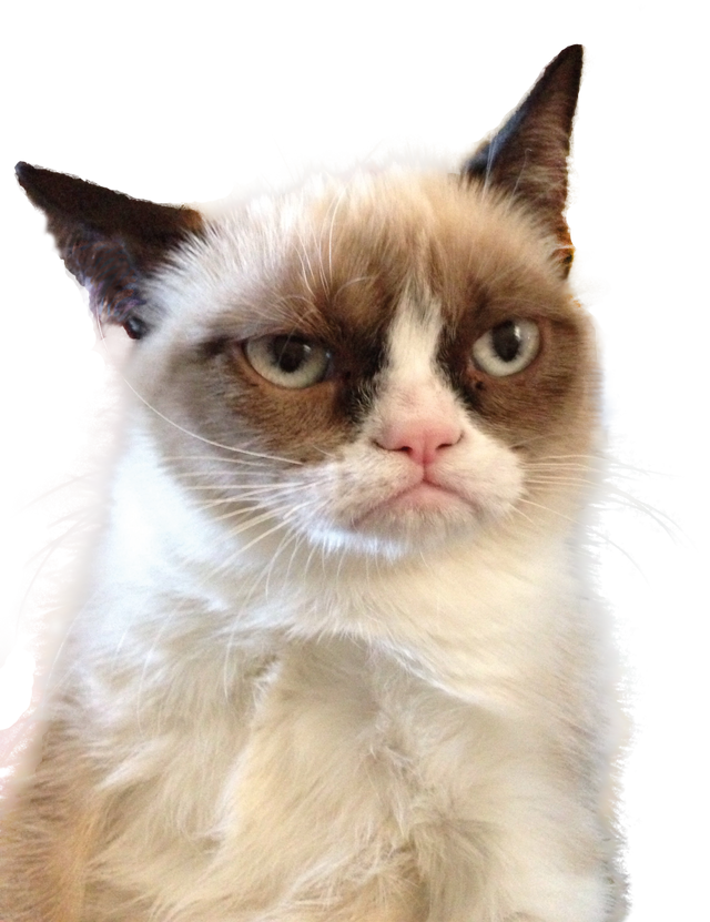 Original Grumpy Cat Extracted.png