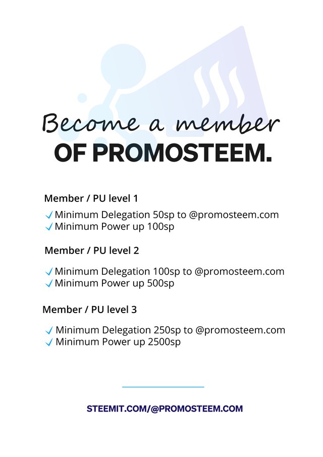 Promosteem_Magazine_10.png