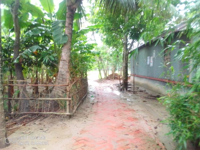 IMG_20210616_132007.jpg