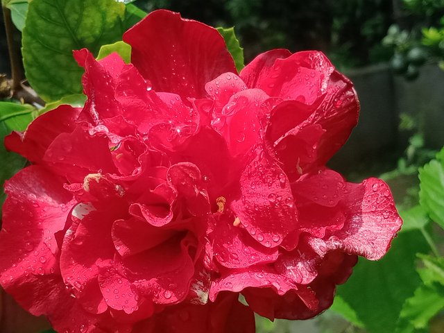 IMG20250711131819.jpg