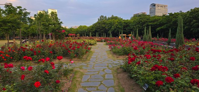 KakaoTalk_20250605_220126977_13.jpg