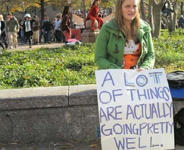 protest-trolls-funny-signs-things-pretty-well.jpg