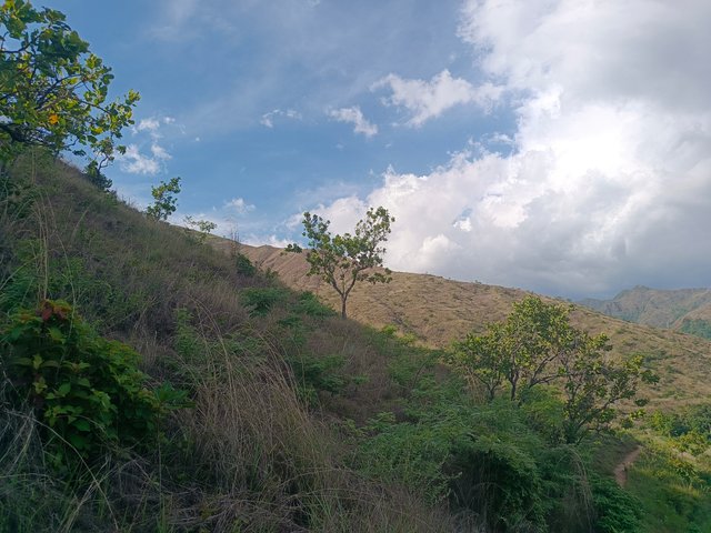 1000436181.jpg