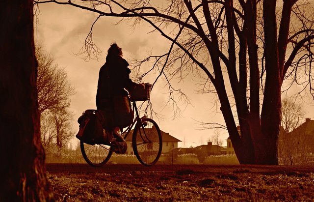 cyclist-4857820_1280.jpg