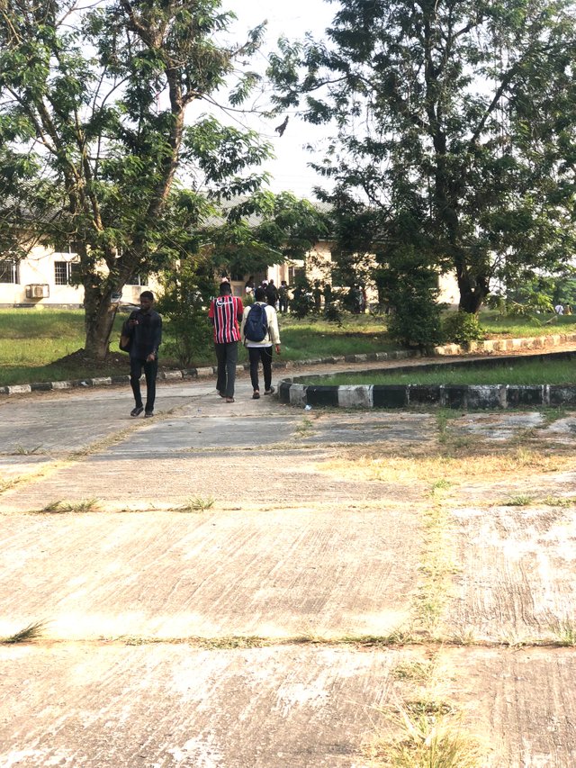 IMG_0010.jpeg