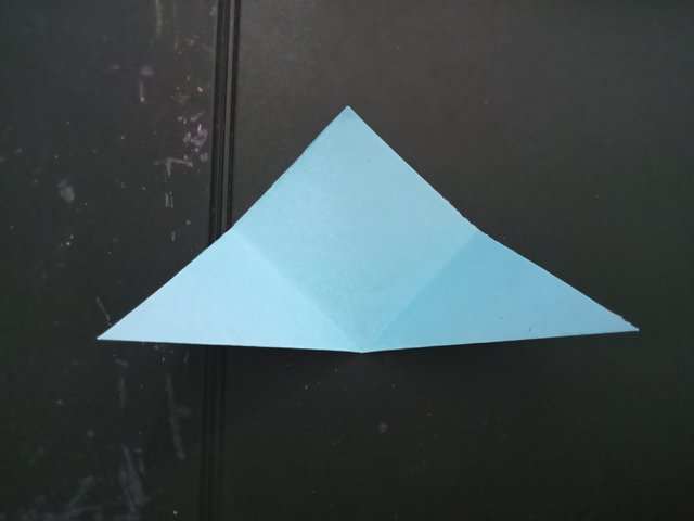 1000027167.jpg