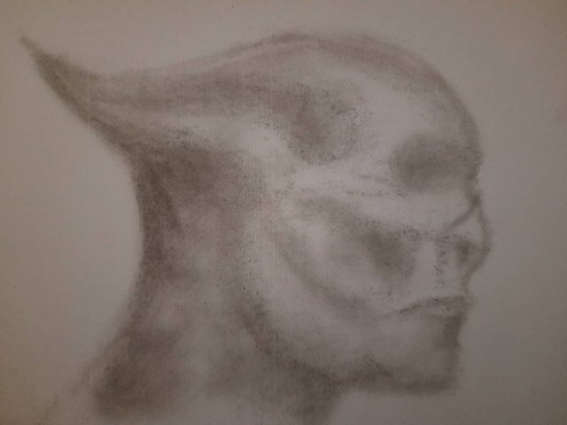 20250701_102802.jpg