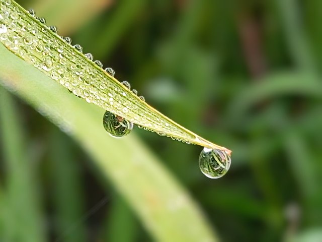 20250416_063746~2.jpg