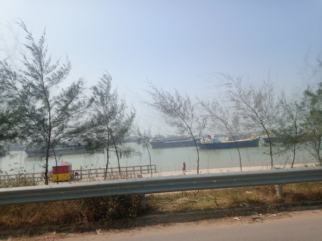 IMG_20240218_120453.jpg