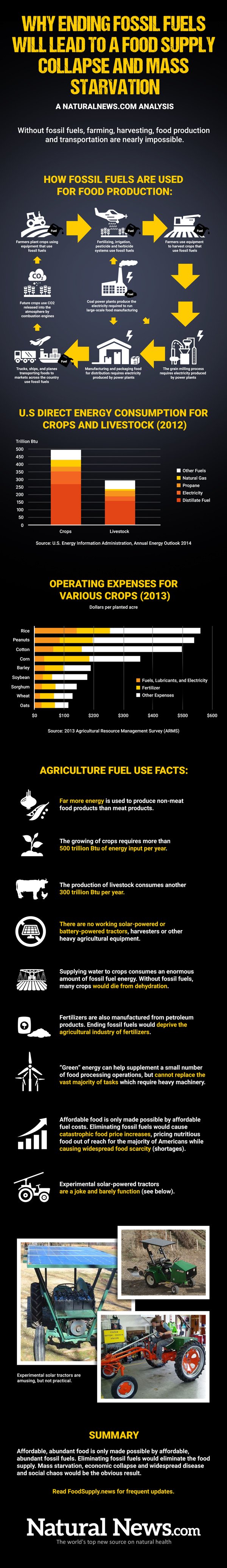 Infographic-Ending-Fossil-Fuels-Lead-to-Collapse-Starvation-600.jpg