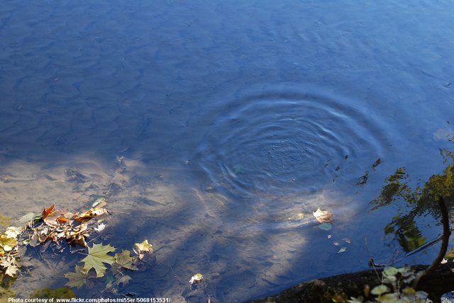 AutumnRipples-001-101518.jpg