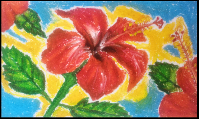 Hibiscus painting thumbnail.png