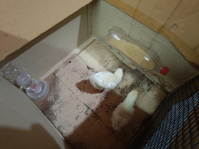IMG20250511110122.jpg