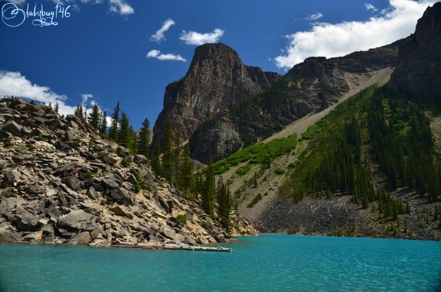 moraine lake4.jpg