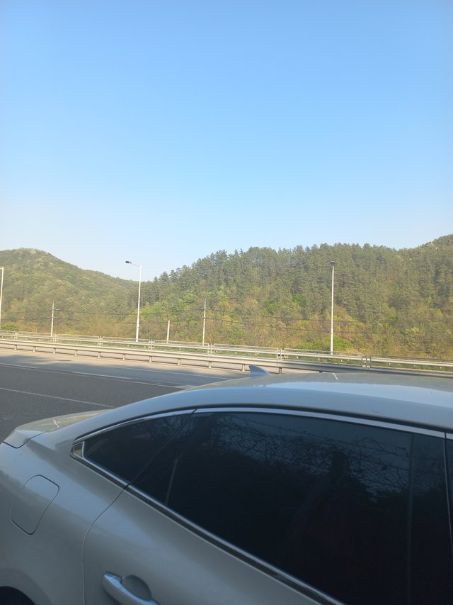 20250425_165246.jpg