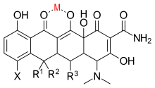 Basic_structure_of_tetracycline_chelating_a_metal.svg.png