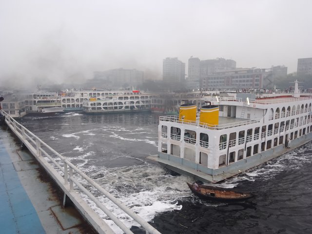 IMG_20250329_060345.jpg