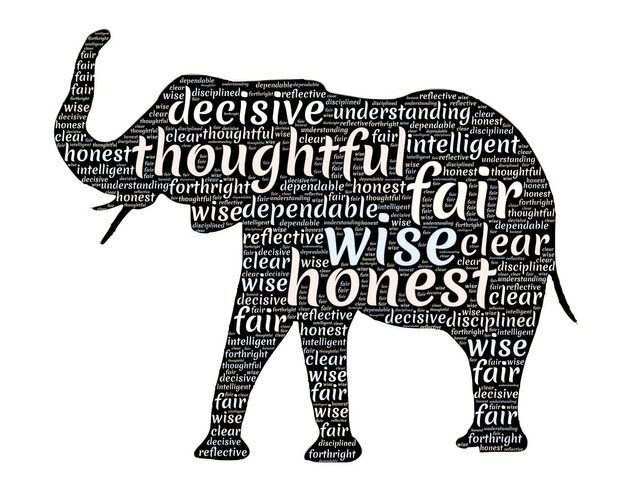 elephant-656439_1920.jpg