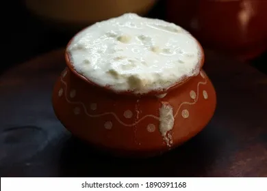 fresh-curd-traditional-pot-on-260nw-1890391168.webp